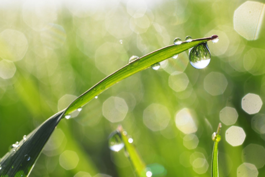 Beyond compliance: Our EHS & sustainability solutions help optimise your business